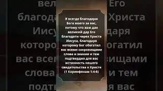 #1Коринфянам 1:4-6 #Библия #СтихДня