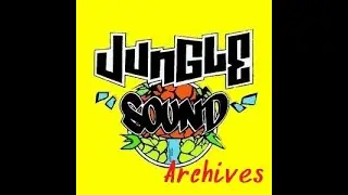 Wayne Wonder - Wait for you (Breathe remix) &ndash; Jungle Sound  Mashup