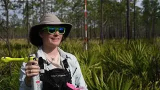 Protecting Bats: The Unique Partnership Between U.S. Air Force and Wildlife Service