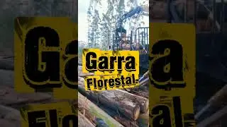 Mini Skidder florestal - Garra arraste de toras