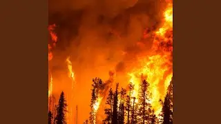 Fire & Rage (feat. Preacher Miccc)