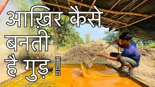 From Farm to Jaggery: Witnessing Traditional Gud Production in Sitapur (UP)