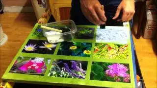 Photo Canvas Collage How-To