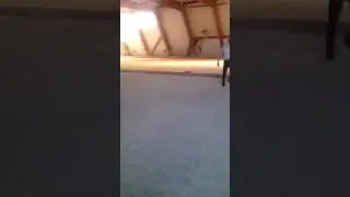 P&eacute;tanque gargowitch