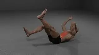 How to Do Bicycle Crunch with Arm and Leg Lift and Twist | Flex Form Fitness