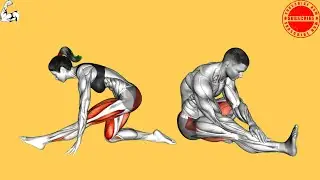 Total Body Mobility for Desk Workers (Anti-Slouch Routine)