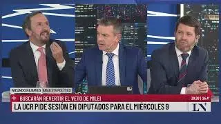 El gobierno reglamentará el arancelamiento a extranjeros