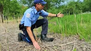 Removing Phragmites at Pottersburg Valley ESA