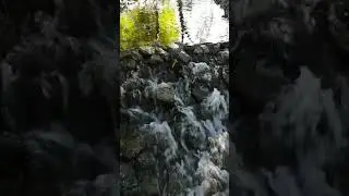 Viseu