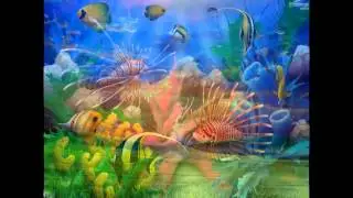 Nature Wallpaper