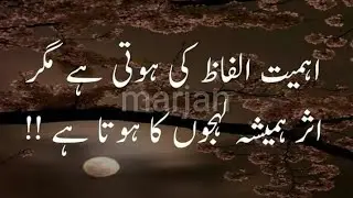 Heart Touching Urdu Quotes That Will Change Your Life | Islamic Golden Words