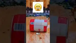 Какие бутылки выживают #бутылки #шорты