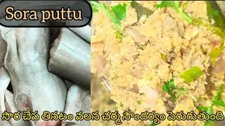సొర చేప నీ తినటం వలన చర్మ సౌందర్యం పెరుగుతుంది,ప్రోటీన్స్,విటమిన్ డి ఇలా ఎన్నో ఆరోగ్య ప్రయోజనాలు..