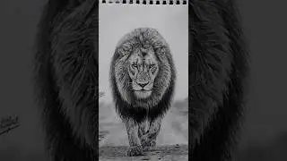 The King of the Jungle in His Majesty part two