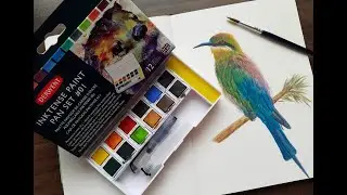 Derwent Inktense Paint Pan Set &ndash; Painting a Bird - Blue Tailed Bee Eater