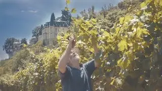 WEINBIET MANUFAKTUR | Aus dem Herzen der Pfalz