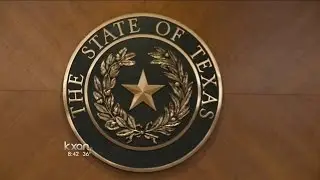 State of Texas: In Depth -  Legislature fills in its gaps