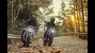 Benelli BN 125/ Die italienische Hummel :)