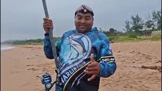 Fishing kwadukuza fishing for sand sharks 