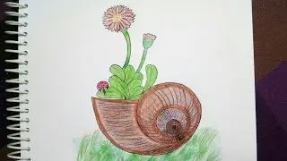 Simple drawing of Plant in a snail shell. drawing with doms colour pencils. @jyothidrawings