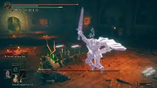 Stamina King - NG+8 Blackgaol Knight