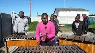 Share plays Marimba