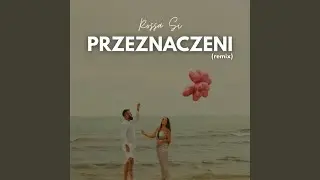 PRZEZNACZENI (REMIX)