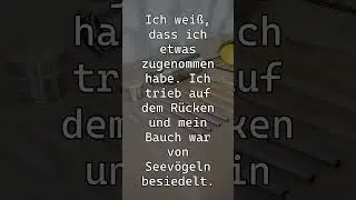 Mein neuer Lieblingsplatz f&uuml;r Seev&ouml;gel 🦢
