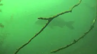 Afritzersee Tauchen