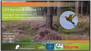 Herstel van een uniek heidelandschap met behoud van de weidevogel, Joost Vogels