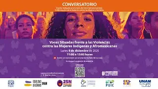 Voces situadas frente a las Violencias contra las #MujeresInd&iacute;genas y Afromexicanas | #25N