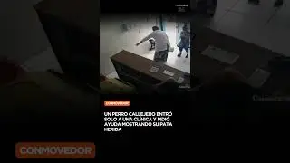 Te parte el alma y te la repara al mismo tiempo