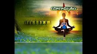 International Yoga Day | Indian Navy Officers Perform Asanas | onboard Warships