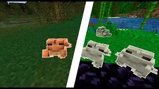 Снапшот 22w11a | ЛЯГУШКИ, ГОЛОВАСТИКИ И МАНГРОВЫЕ ДЕРЕВЬЯ | Minecraft 1.19