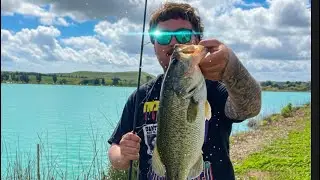 Spring Bass Fishing took a WEIRD Turn! 