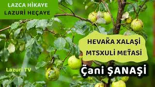 Lazca Bir Hikaye - Hevaka Xalaşi - Çani Şanaşi - Lazuri TV