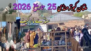 Multan Kabootar Mandi #pigeon #birds #kabootar Salman nazeerpigerns#kabutar #kabootarloft05 #pigeo￼￼