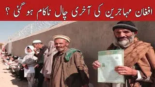Afghan Refugees Seeking Political Asylum in Pakistan | Hidden Truth Behind Their Claims
