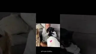 Super Cooper Sunday Edit