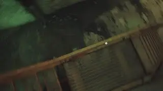 Sentinel is broken in Stray