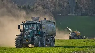 LENER HACKGUT BEIM G&Uuml;LLEN/ 3 FENDT VARIO 714