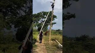 Bikin Tegang Detik Detik Baling Baling 100 Meter Di Pasang  #shorts #balingbalingbambu