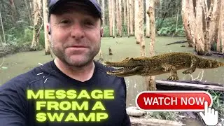 Relentless Forward Momentum - A Message From The Swamp