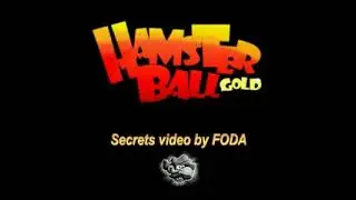 Hamsterball (Doctor Center) - 2006-2008 vs 2012-2013