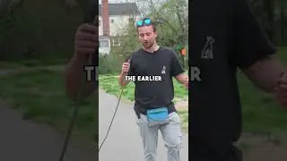 Давление на поводке &mdash; один из самых важных моментов, которому нужно научить собаку с первого дня.