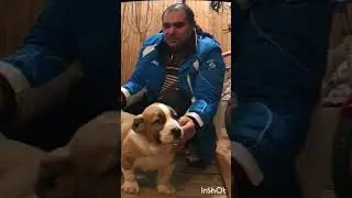 Видео ролик легендарного Тамаза Барави из Краснодарского края один из лучших заводчиков
