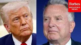 &laquo;Генри Киссинджер, который не сливает информацию&raquo;: Трамп хвалит Стива Виткоффа за его роль в сдел...