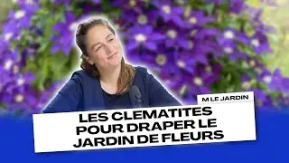 LES CL&Eacute;MATITES POUR DRAPER LES JARDINS DE FLEURS
