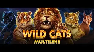 Wild Cats Multiline - Red Tiger