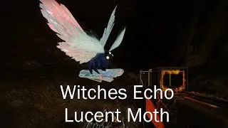 Witches Echo - Lucent Moth